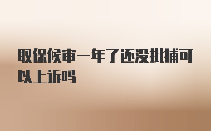 取保候审一年了还没批捕可以上诉吗