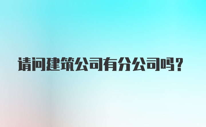 请问建筑公司有分公司吗?