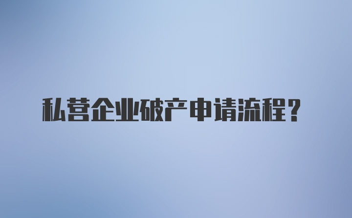 私营企业破产申请流程？