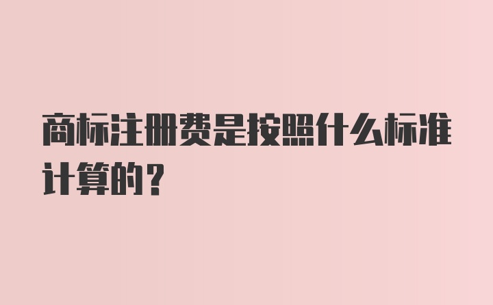 商标注册费是按照什么标准计算的？