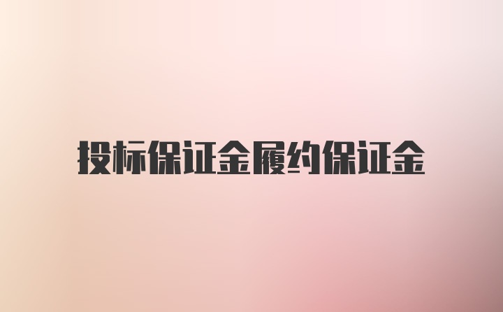 投标保证金履约保证金