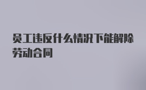 员工违反什么情况下能解除劳动合同