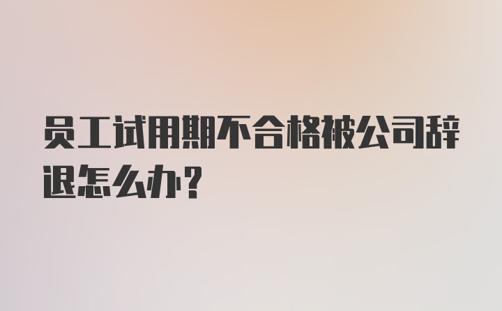 员工试用期不合格被公司辞退怎么办？