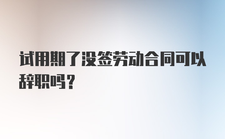 试用期了没签劳动合同可以辞职吗？