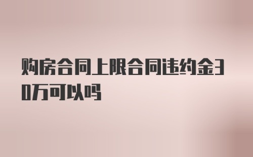 购房合同上限合同违约金30万可以吗