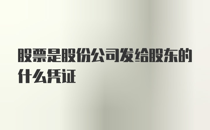 股票是股份公司发给股东的什么凭证