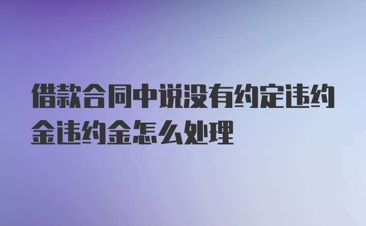 借款合同中说没有约定违约金违约金怎么处理