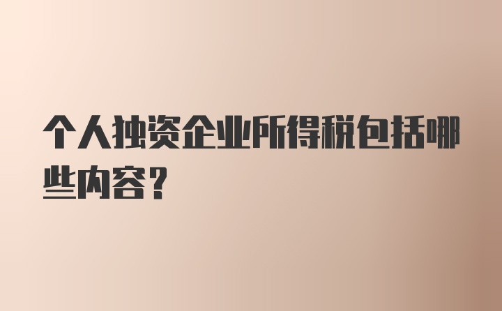 个人独资企业所得税包括哪些内容？