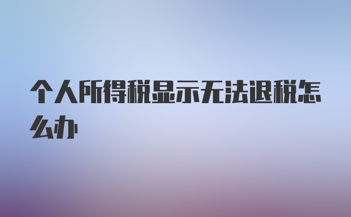 个人所得税显示无法退税怎么办