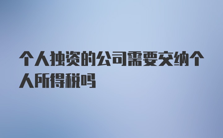 个人独资的公司需要交纳个人所得税吗