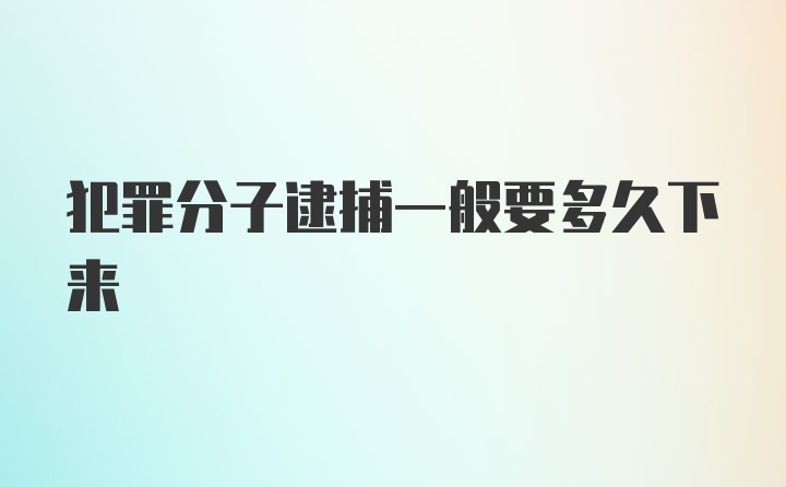 犯罪分子逮捕一般要多久下来