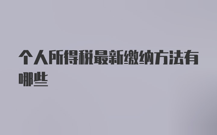 个人所得税最新缴纳方法有哪些