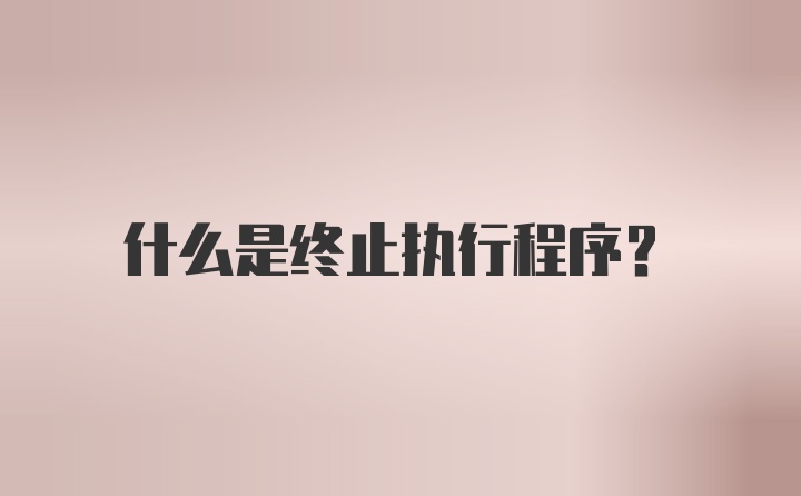 什么是终止执行程序？