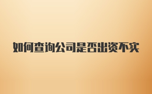 如何查询公司是否出资不实