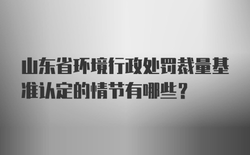 山东省环境行政处罚裁量基准认定的情节有哪些？