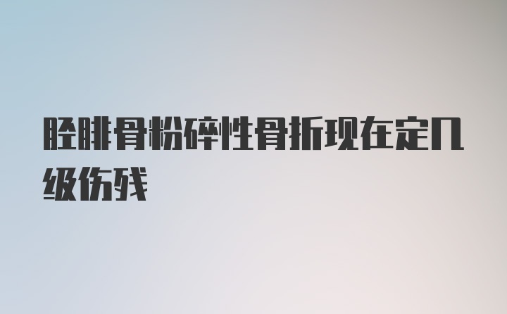 胫腓骨粉碎性骨折现在定几级伤残