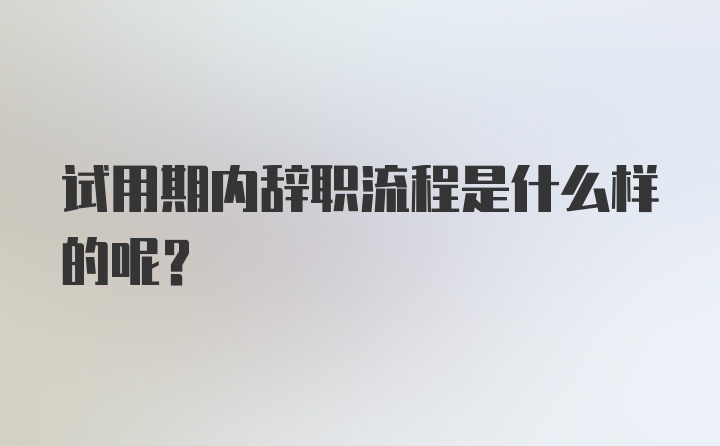 试用期内辞职流程是什么样的呢？