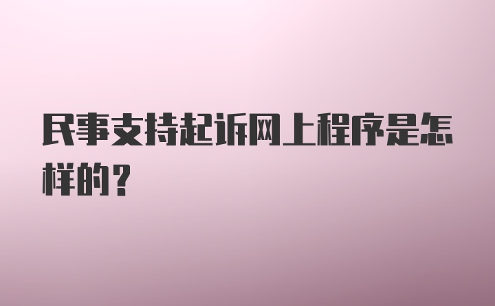 民事支持起诉网上程序是怎样的?