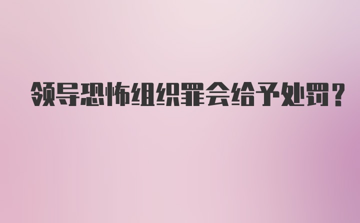 领导恐怖组织罪会给予处罚？