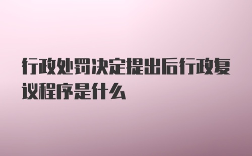 行政处罚决定提出后行政复议程序是什么