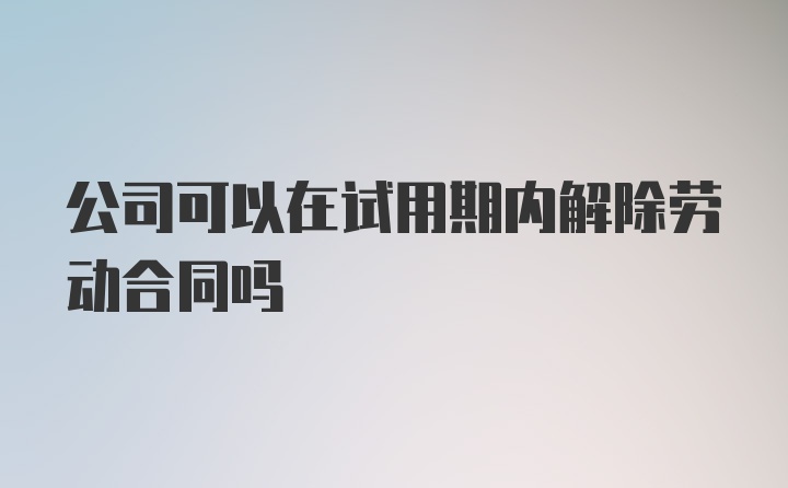 公司可以在试用期内解除劳动合同吗