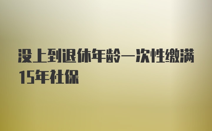 没上到退休年龄一次性缴满15年社保