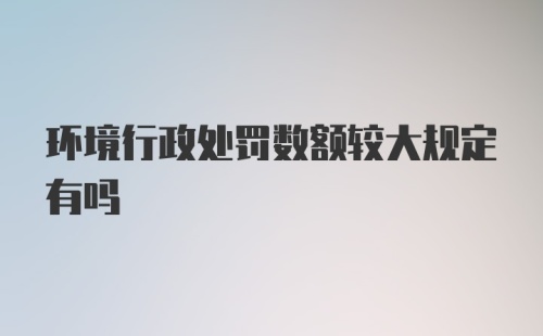 环境行政处罚数额较大规定有吗