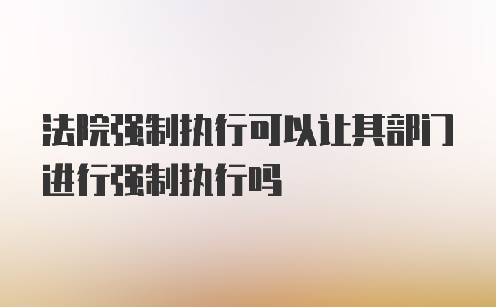 法院强制执行可以让其部门进行强制执行吗