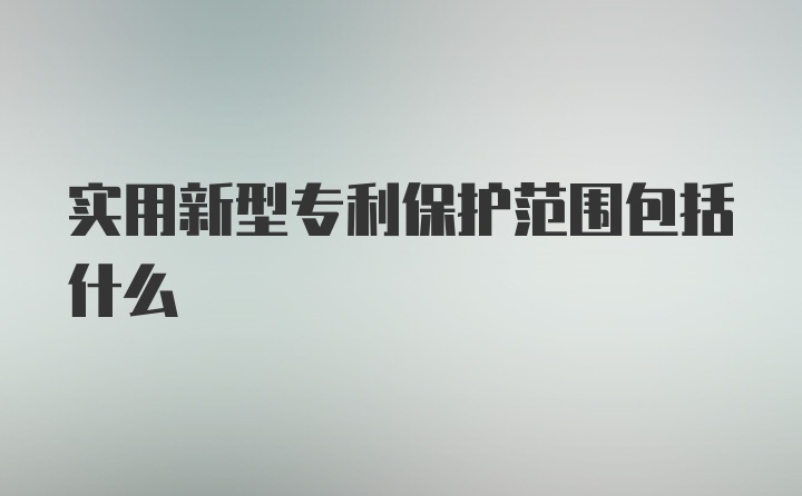 实用新型专利保护范围包括什么