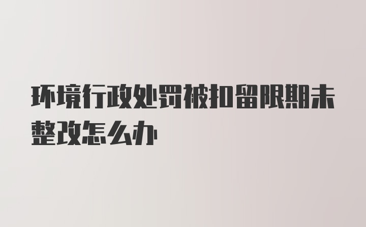 环境行政处罚被扣留限期未整改怎么办