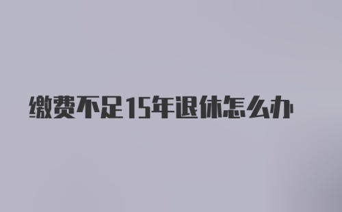 缴费不足15年退休怎么办