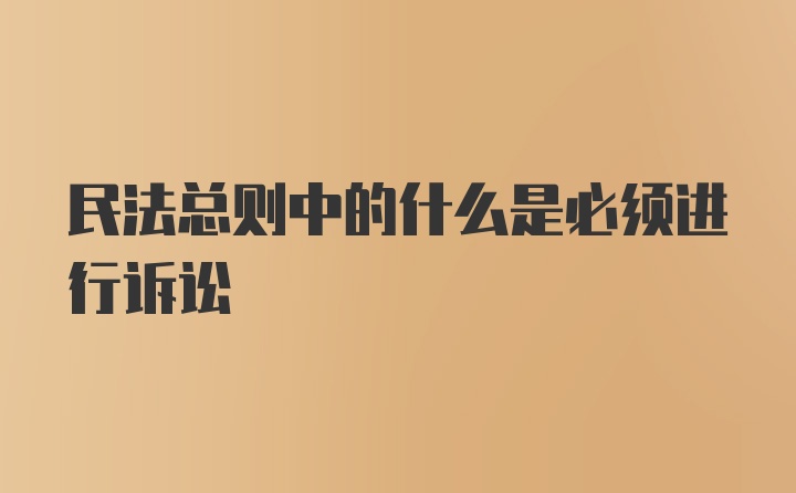 民法总则中的什么是必须进行诉讼