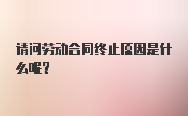 请问劳动合同终止原因是什么呢？