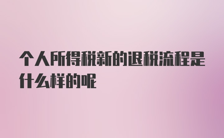 个人所得税新的退税流程是什么样的呢