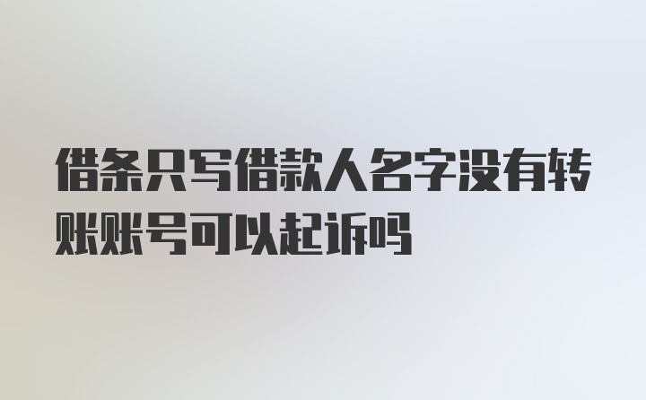 借条只写借款人名字没有转账账号可以起诉吗