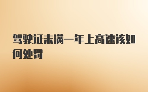 驾驶证未满一年上高速该如何处罚