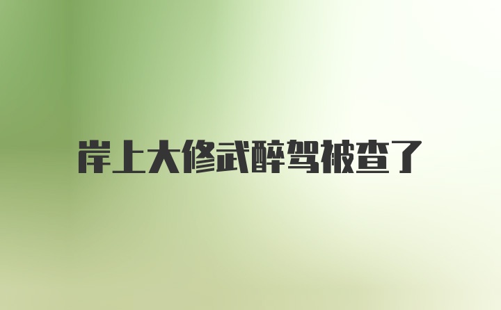 岸上大修武醉驾被查了