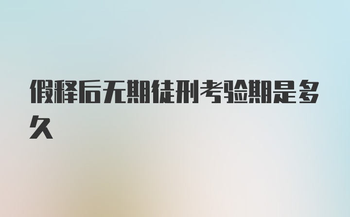 假释后无期徒刑考验期是多久