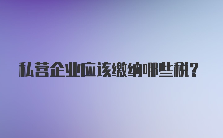 私营企业应该缴纳哪些税？