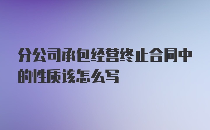 分公司承包经营终止合同中的性质该怎么写