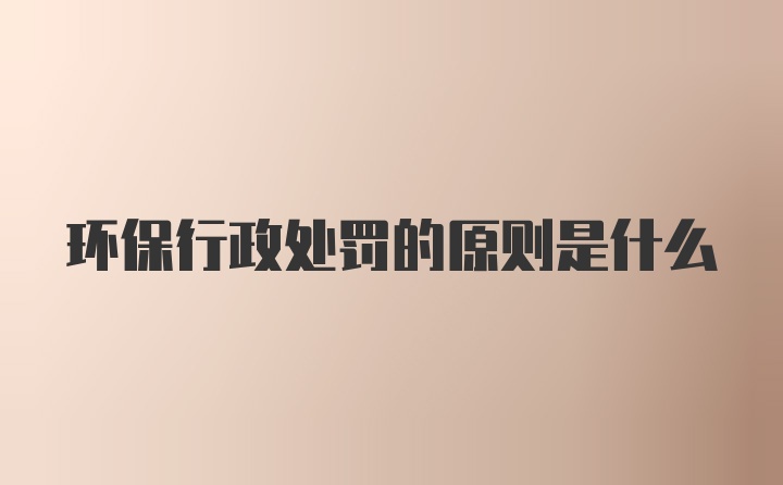 环保行政处罚的原则是什么