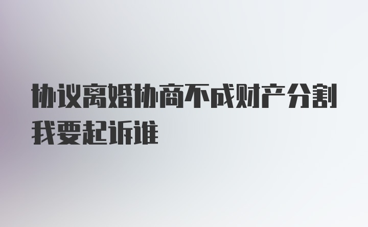 协议离婚协商不成财产分割我要起诉谁