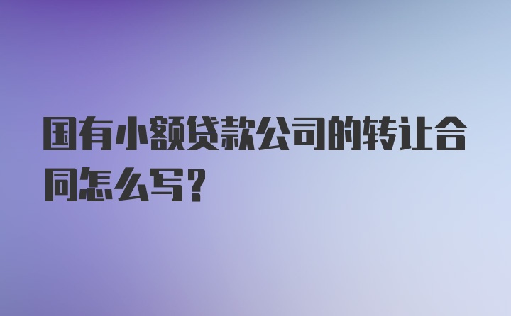 国有小额贷款公司的转让合同怎么写？