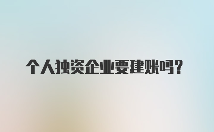 个人独资企业要建账吗？