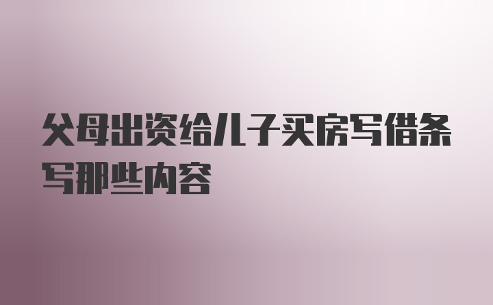 父母出资给儿子买房写借条写那些内容