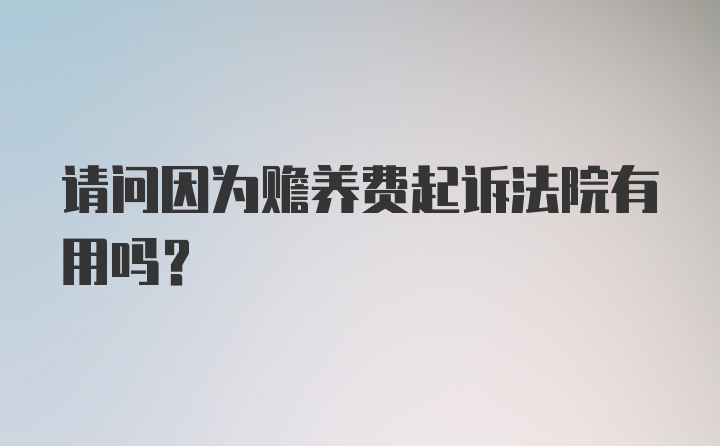 请问因为赡养费起诉法院有用吗?