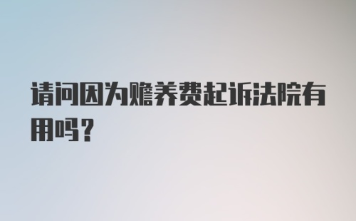 请问因为赡养费起诉法院有用吗?