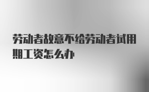 劳动者故意不给劳动者试用期工资怎么办