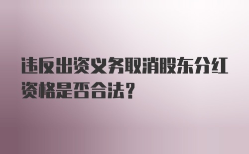 违反出资义务取消股东分红资格是否合法？