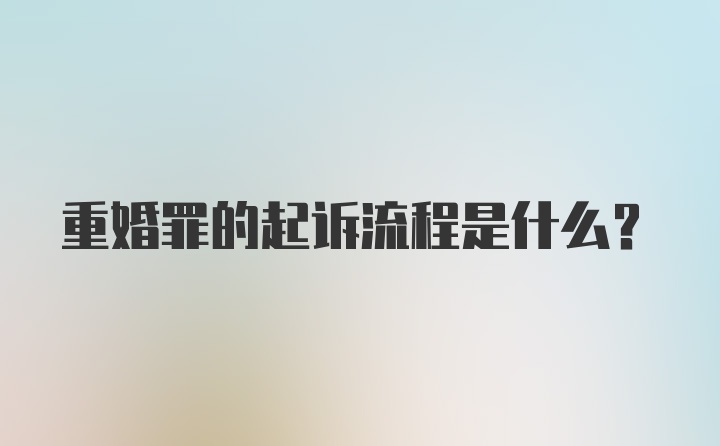 重婚罪的起诉流程是什么？